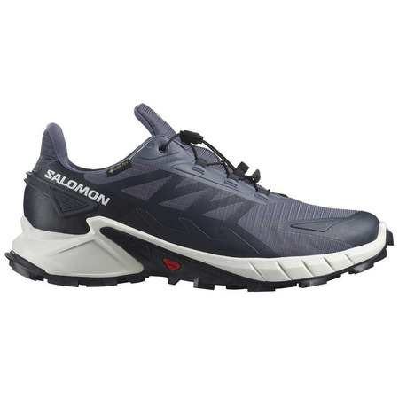 Chaussures Salomon Supercross 4 GTX Gris