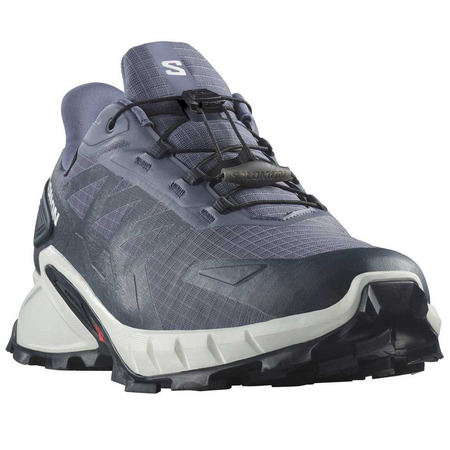 Chaussures Salomon Supercross 4 GTX Gris
