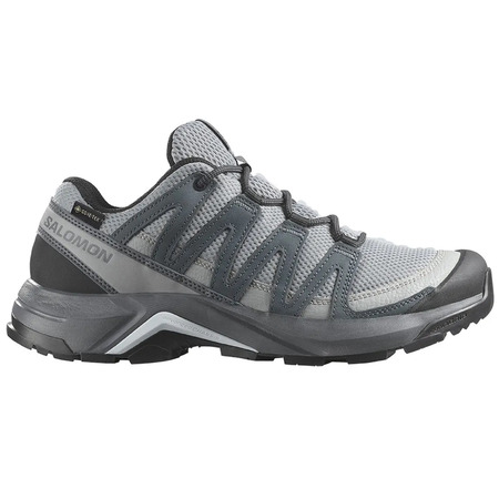 Baskets Salomon X-Adventure Recon GTX W grises