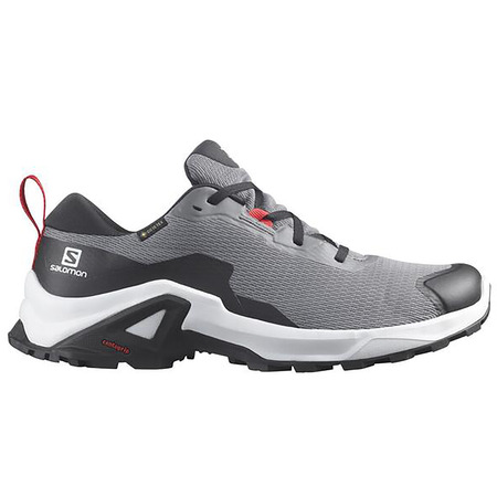 Chaussures Salomon X Reveal 2 GTX Gris/Noir