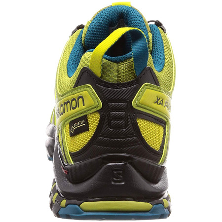 Zapatillas Salomon XA PRO 3D GTX Green Track/Azul