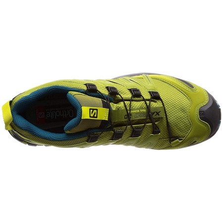 Zapatillas Salomon XA PRO 3D GTX Green Track/Azul