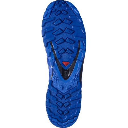 Chaussures Salomon XA PRO 3D V8 GTX Bleu / Gris