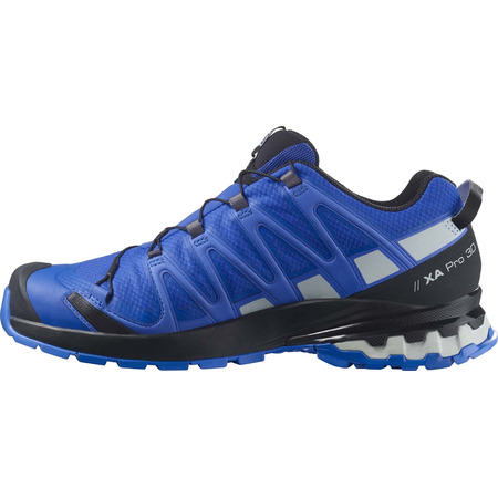 Chaussures Salomon XA PRO 3D V8 GTX Bleu / Gris