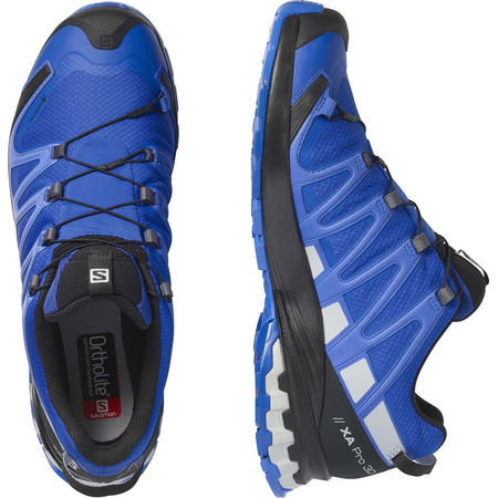 Chaussures Salomon XA PRO 3D V8 GTX Bleu / Gris