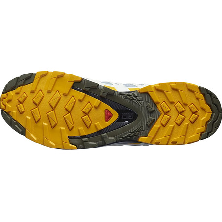 Chaussures Salomon XA PRO 3D V8 GTX Gris/Moutarde