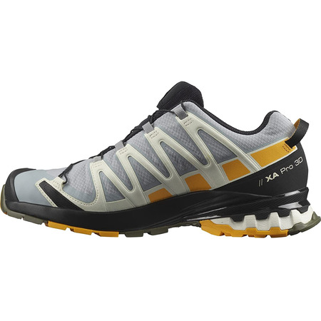 Chaussures Salomon XA PRO 3D V8 GTX Gris/Moutarde