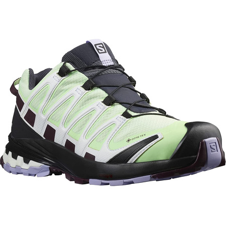 Chaussures Salomon XA PRO 3D V8 GTX W Vert/Violet