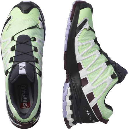 Chaussures Salomon XA PRO 3D V8 GTX W Vert/Violet