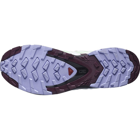 Chaussures Salomon XA PRO 3D V8 GTX W Vert/Violet