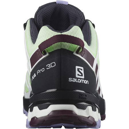Chaussures Salomon XA PRO 3D V8 GTX W Vert/Violet