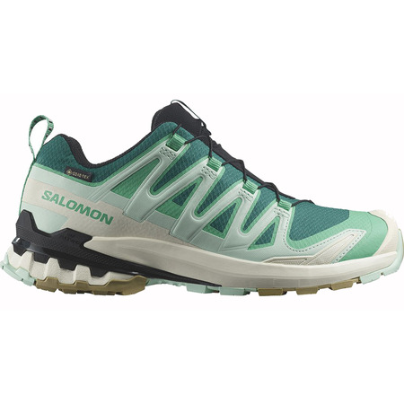 Chaussures Salomon XA PRO 3D V9 GTX W Vert/Aqua