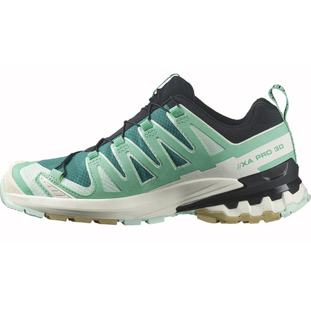 Chaussures Salomon XA PRO 3D V9 GTX W Vert/Aqua