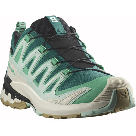 Chaussures Salomon XA PRO 3D V9 GTX W Vert/Aqua