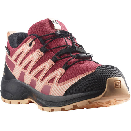 Chaussures De Course Salomon XA PRO V8 CSWP J Fuchsia/Rose
