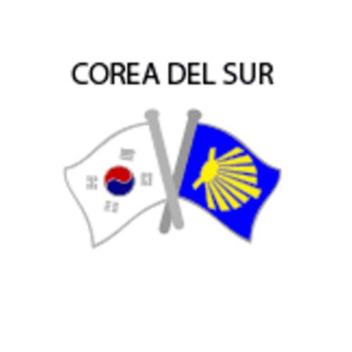 Pin Metal Drapeau Corée du Sud Voie Santiago