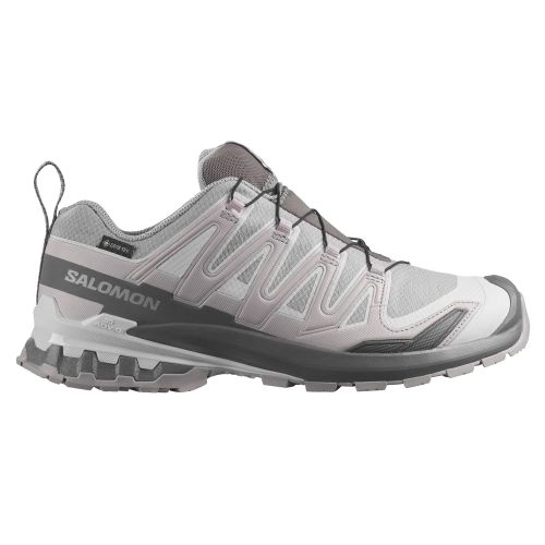 Zapatilla Salomon XA PRO 3D V9 GTX Gris