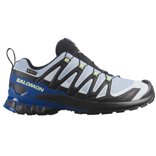 Zapatilla Salomon XA PRO 3D V9 GTX ICON Noir/Hielo