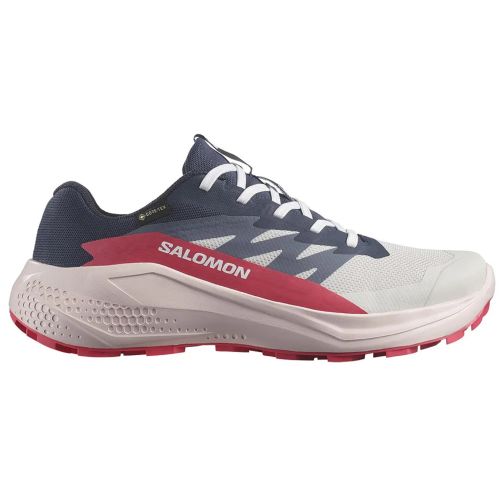 Baskets Salomon Alphaglide GTX W Gris/Noir/Fuchsia