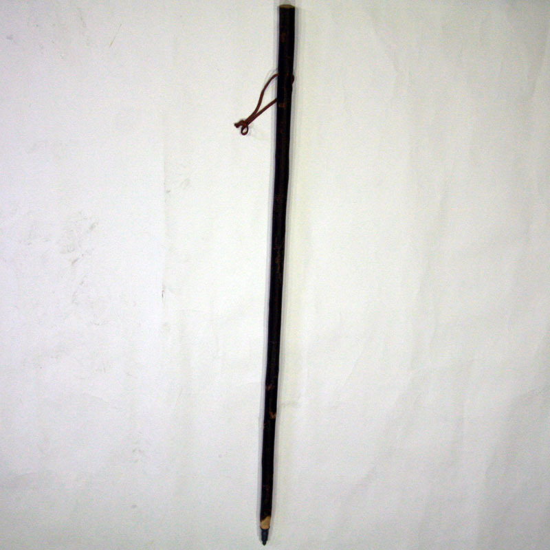 Bâton de pèlerin Garçon alezan corteza