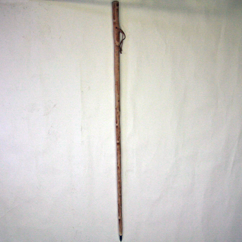 Peregrine Bordón grand châtaignier naturel