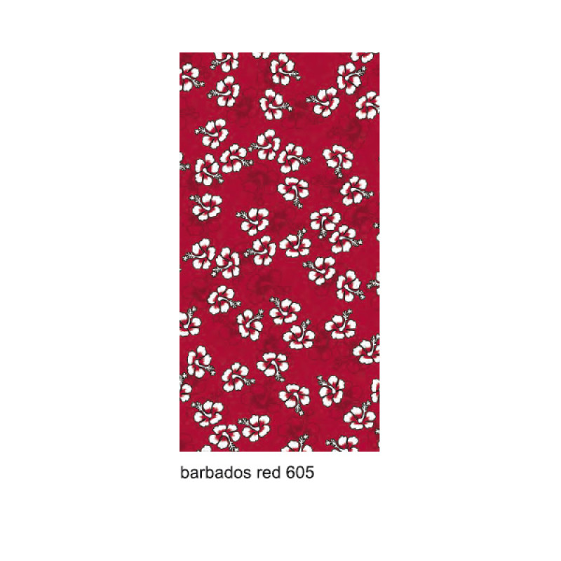 Braga Wind Barbade 1605