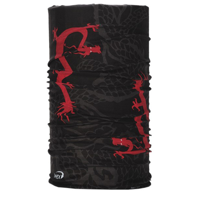 Dragons du vent de Braga 1220