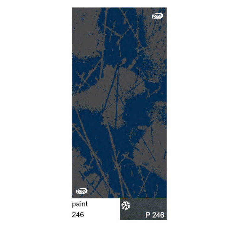 Peinture à vent de Braga 1246