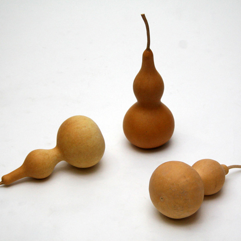 Grande gourde Pilgrim naturelle