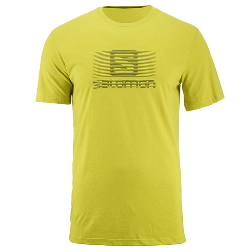 T-shirt Salomon Blend Logo SS TEE Lima