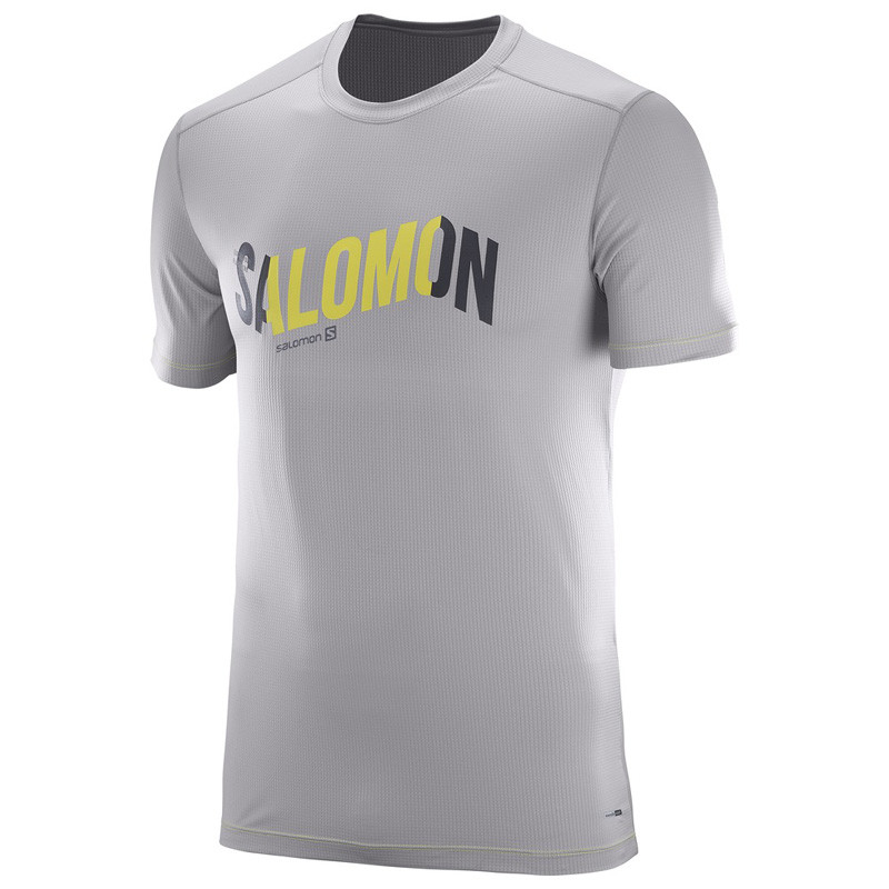 T-shirt Salomon Logo Cosmique Tee Gris