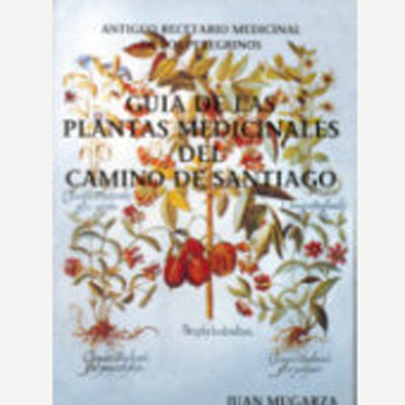 Guide des plantes médicinales du Chemin de Santiago