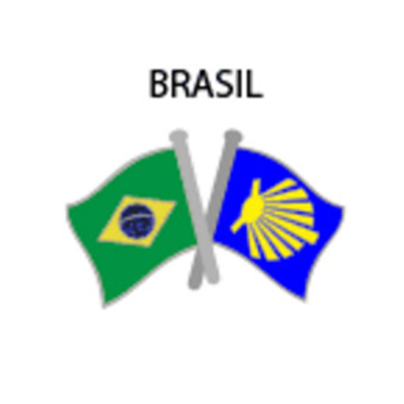 Pin Metal Drapeau Brésil Chemin Santiago