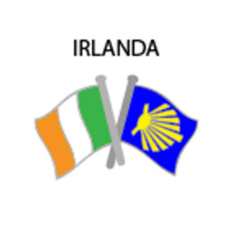 Pin Metal Drapeau Irlande Chemin Santiago