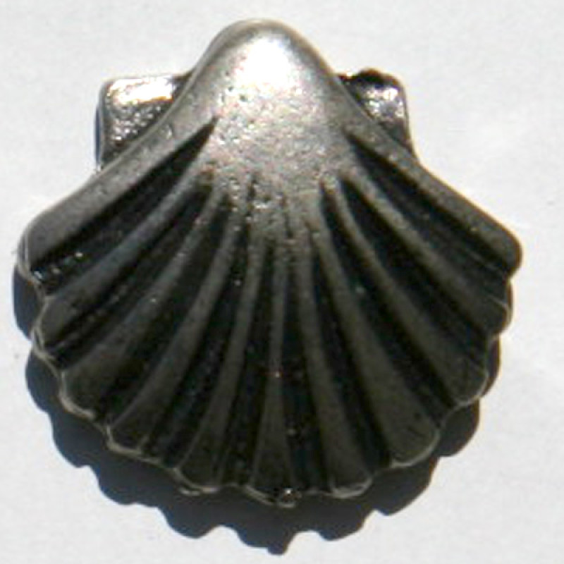 Plaquettes Vieira Épingle