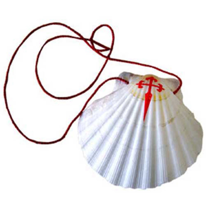 Coquille Saint-Jacques - Coquille du pèlerin