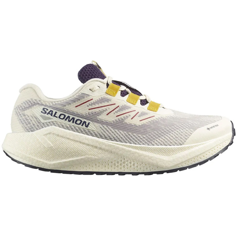 Chaussure Salomon Aero Blaze 3 GRVL GTX Blanche/Bleue