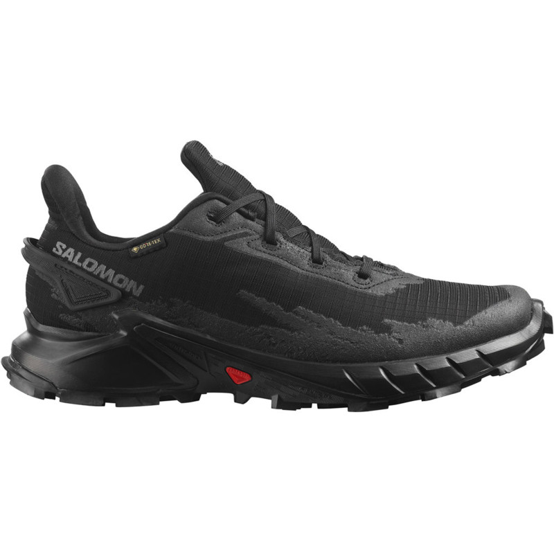 Chaussure Salomon Alphacross 4 GTX Noir