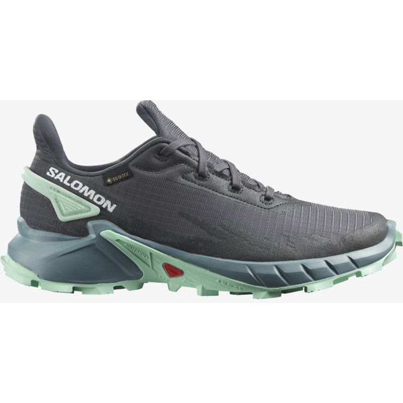 Chaussures Salomon Alphacross 4 GTX W Gris/Turquoise