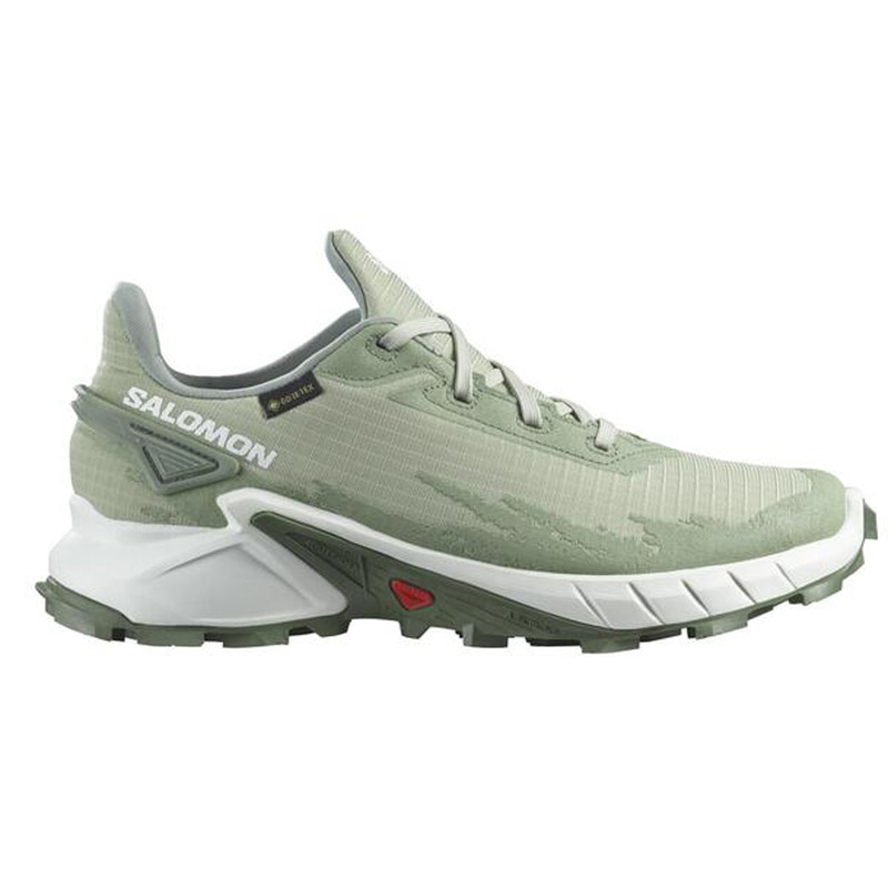 Chaussure Salomon Alphacross 4 GTX W Vert