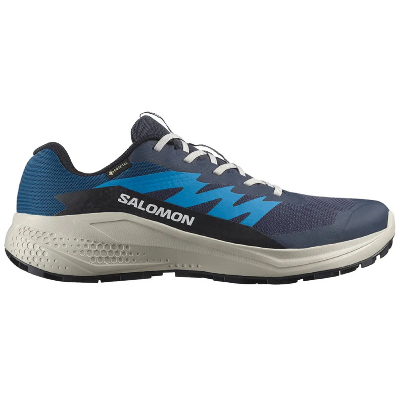Chaussure Salomon Alphaglide GTX bleue