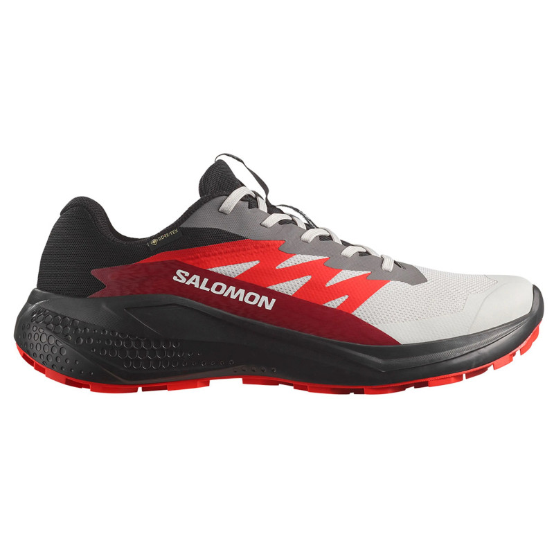 Chaussure de course Salomon Alphaglide GTX Gris/Rouge/Noir