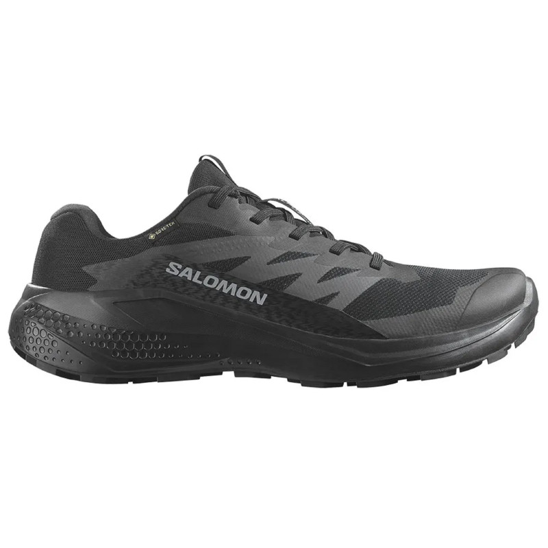 Chaussure Salomon Alphaglide GTX noire