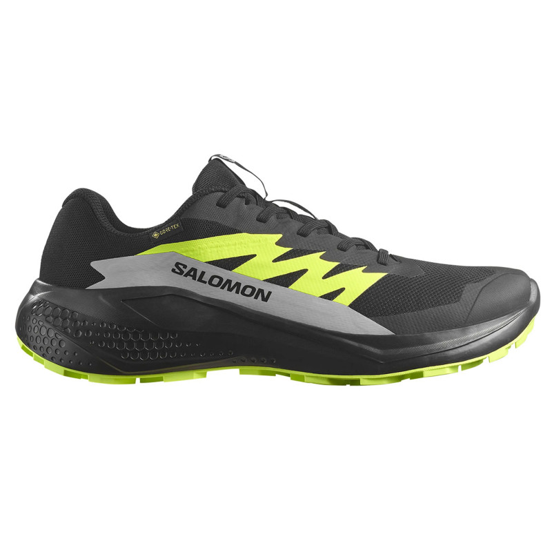 Chaussure de course Salomon Alphaglide GTX Noir/Vert citron