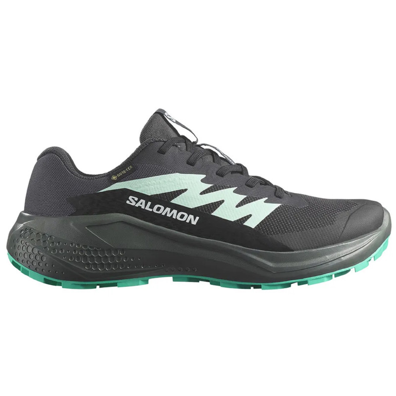 Chaussure Salomon Alphaglide GTX W Noir/Vert
