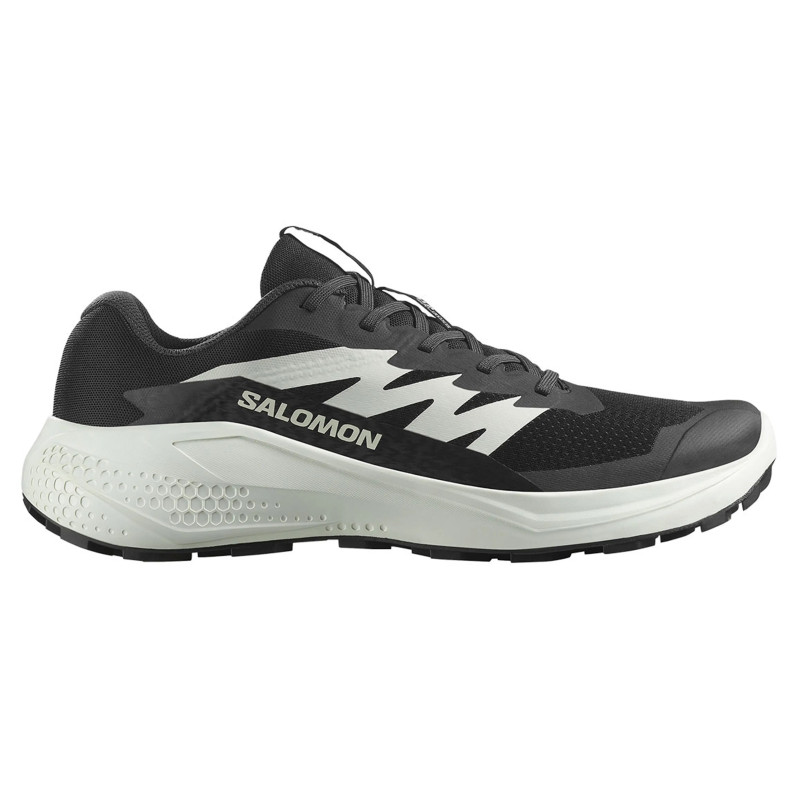 Chaussure de course Salomon Alphaglide Nonir/Blanc