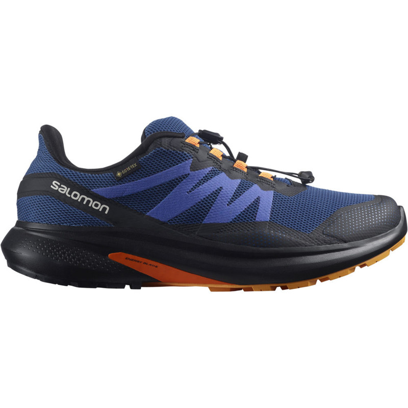 Chaussure Salomon Hypulse GTX Marine/Noir