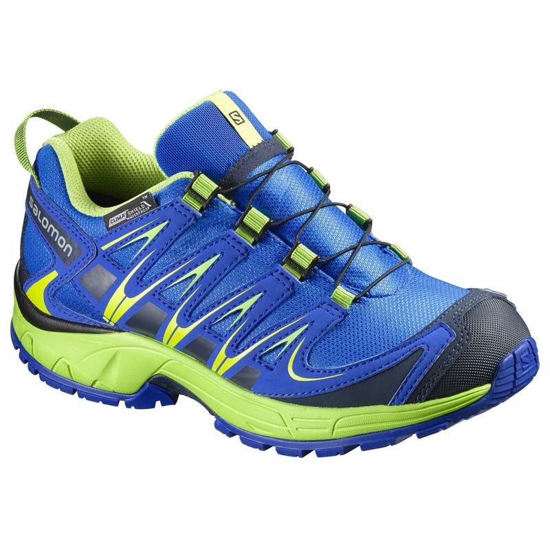 Zapatilla Salomon XA PRO 3D CS WP K Bleu/Lima