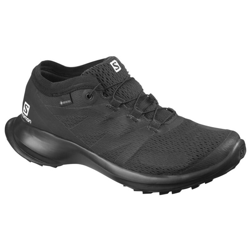 Chaussure Salomon Sense Flow GTX W Noir