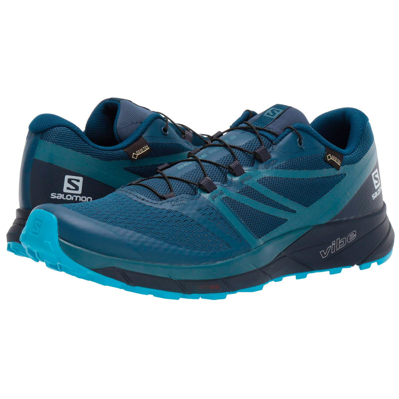 Zapatillas Salomon Sense Ride 2 Bleu/noir gtx